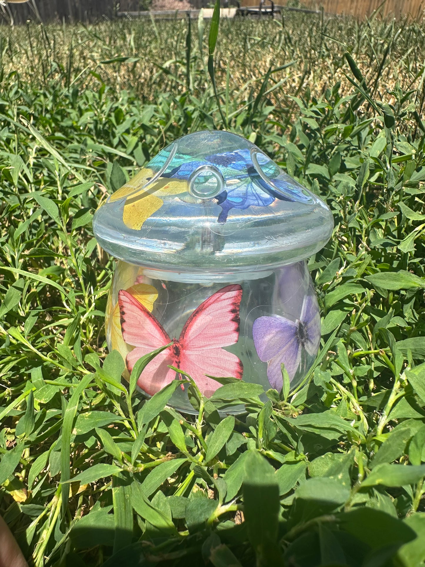 Butterfly mushroom