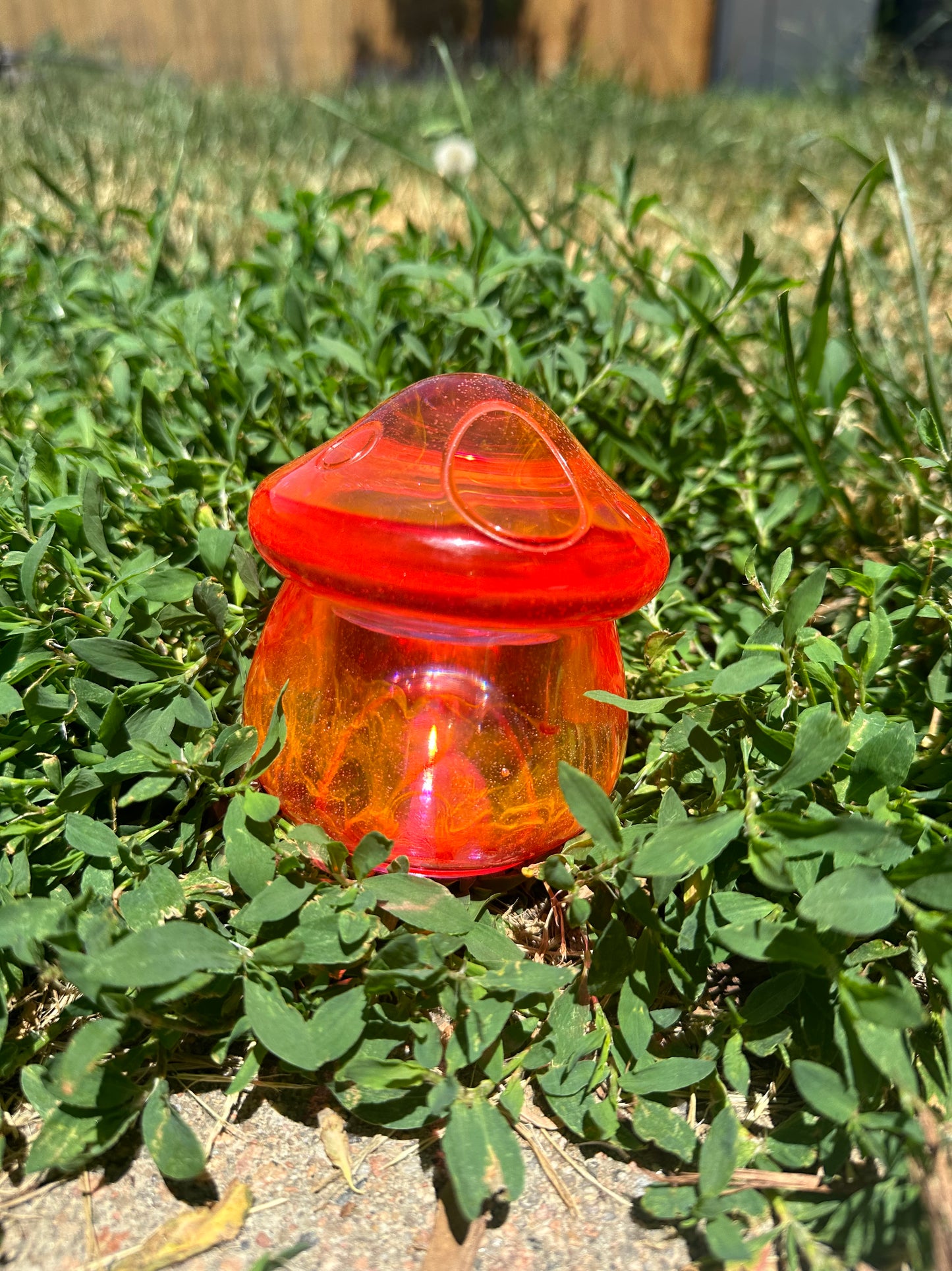 Hot mushroom