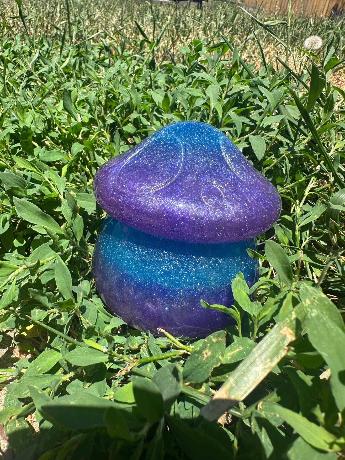 Sparkly mushroom